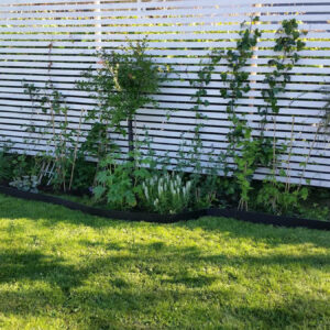 Svart rabattkant runt plantering i trädgård